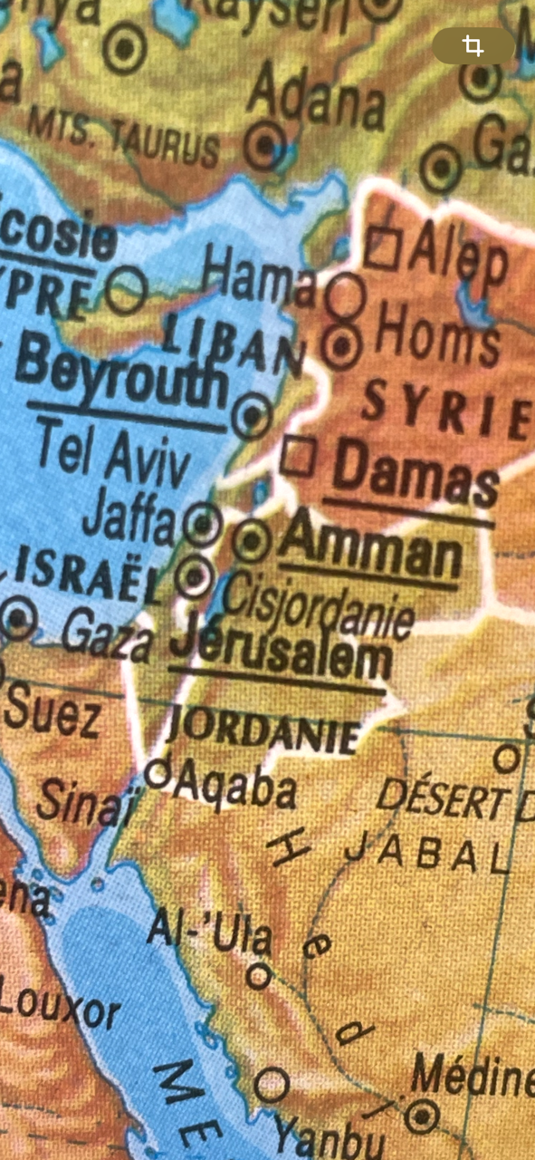 Image de l'article GAZA...OUI!                                                                                     QUAND LA PALESTINE EST EN ISRAEL ET ISRAEL EN PALESTINE